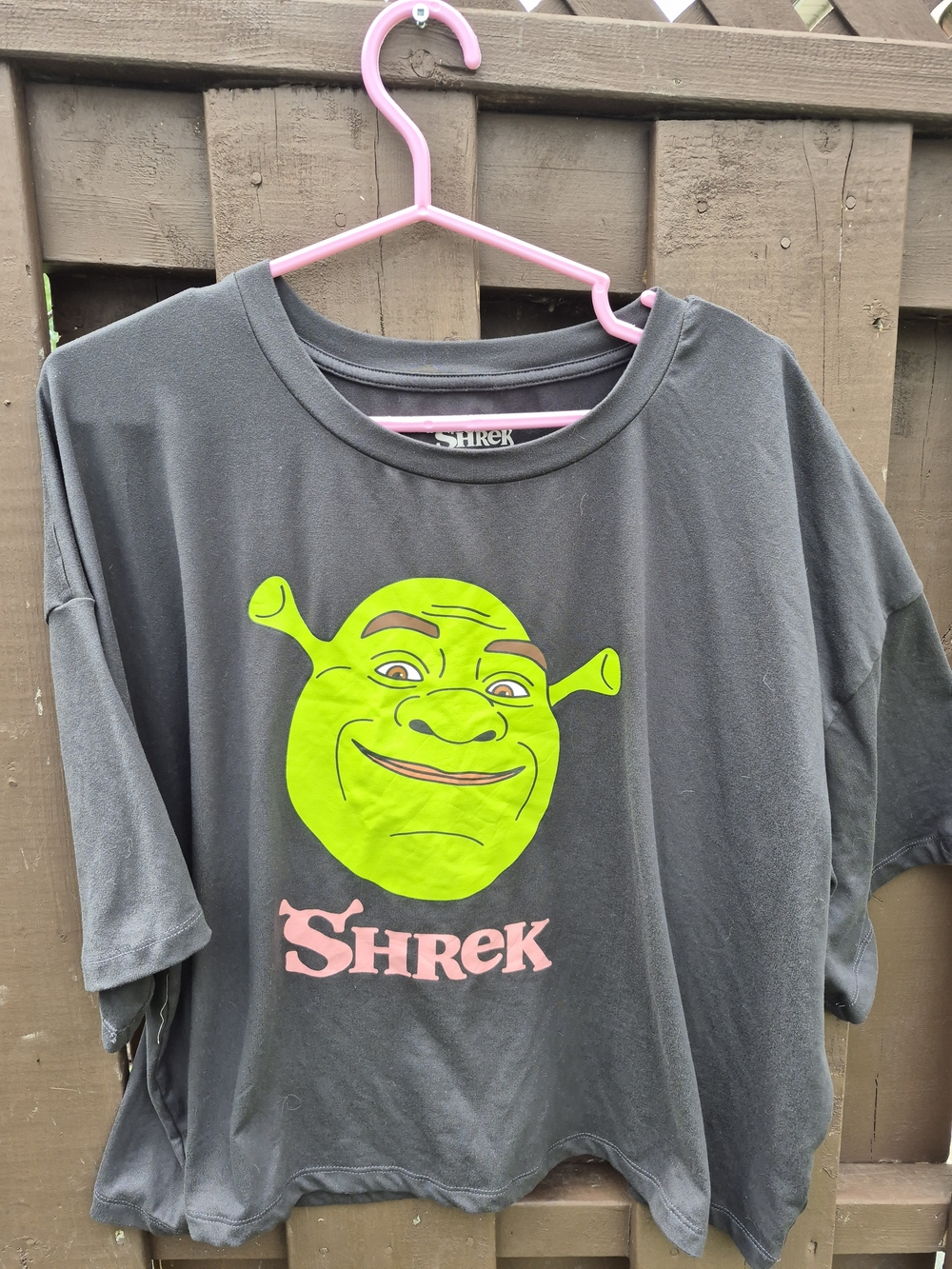 Dreamworks Shrek Top Size XL Black Graphic Loose Crop Tee Shirt T-shirt